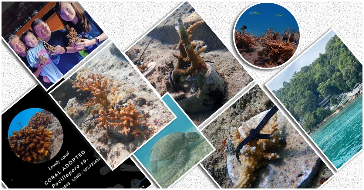 a collage of photos of corals and fish | Top Lead Generation Agency